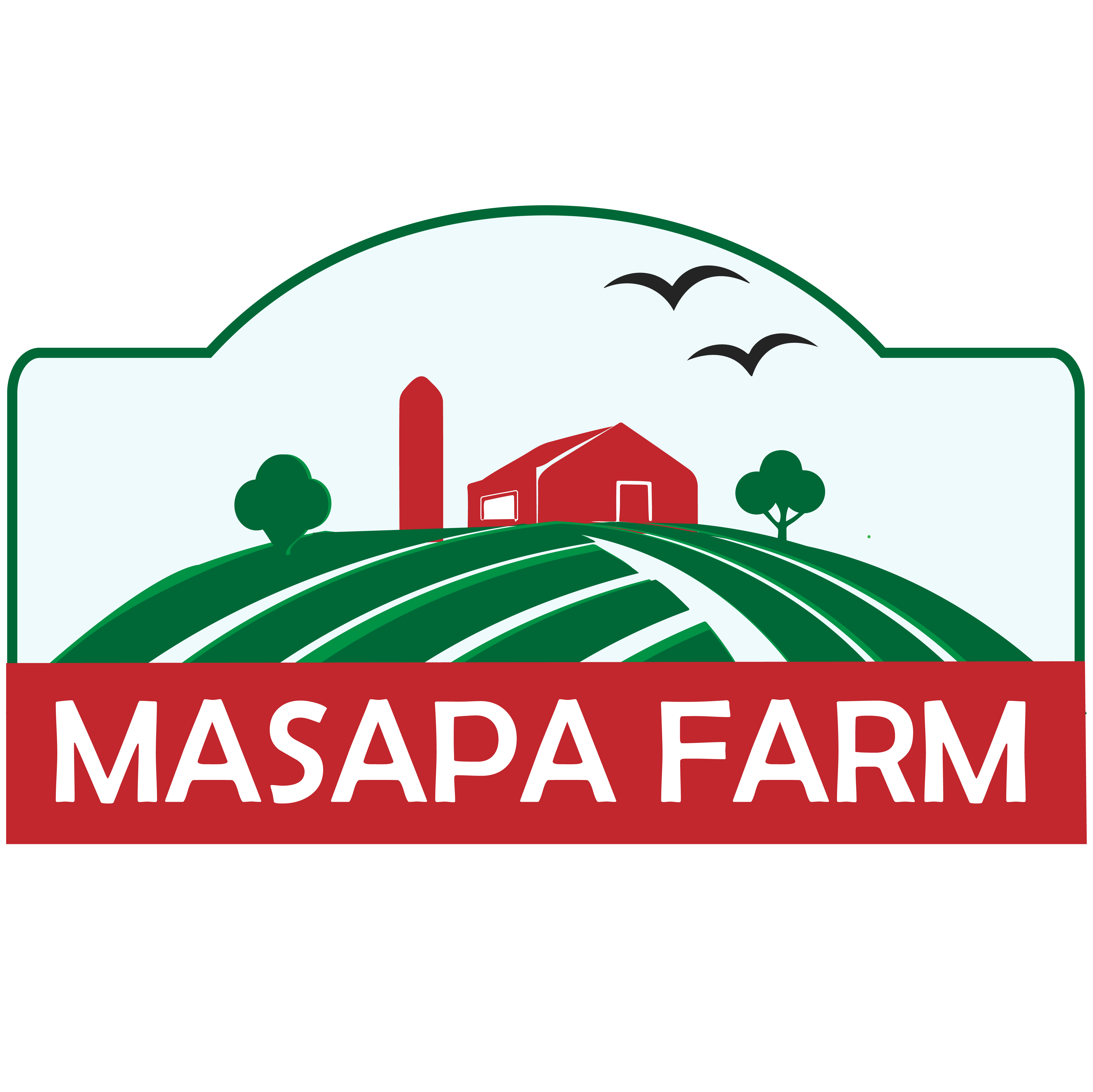 MASAPA LOGO COLORED (png)-02
